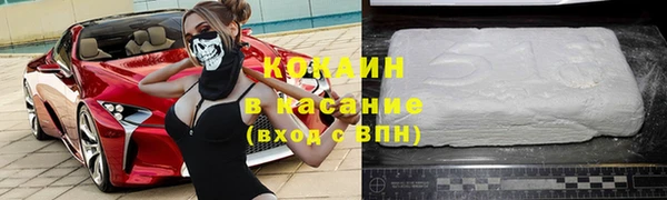 хмурый Аркадак