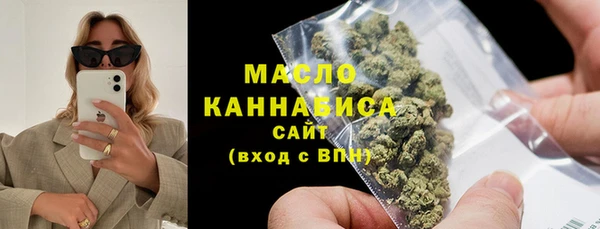 хмурый Аркадак