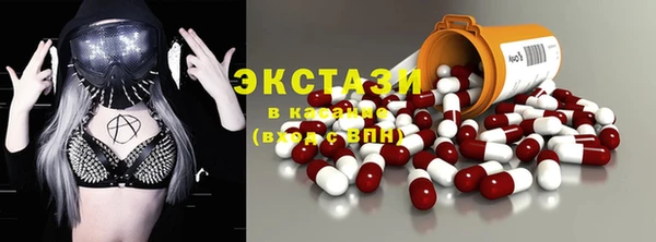 хмурый Аркадак