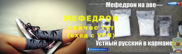 хмурый Аркадак