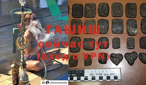хмурый Аркадак