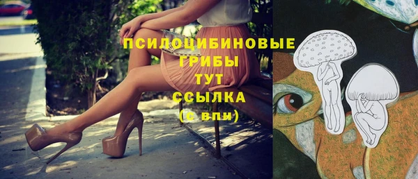 хмурый Аркадак
