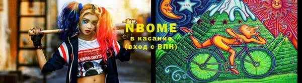 хмурый Аркадак