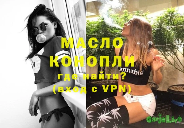 хмурый Аркадак