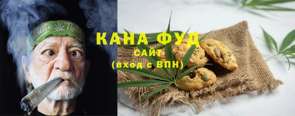 хмурый Аркадак